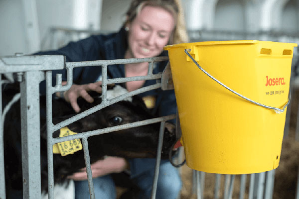 JOSERA Frau mit Kalb im Stall