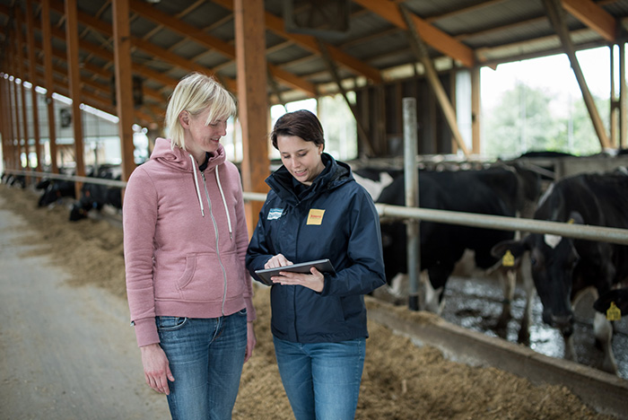 JOSERA Conseil, vaches à la table d'alimentation