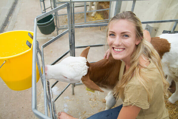 JOSERA Frau mit Kalb im Stall