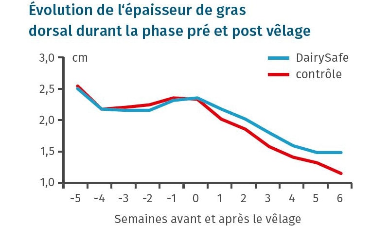 JOSERA Grafique montre l'évolution de l'epaisseur du gras dorsal durant la phase pré et post vêlage