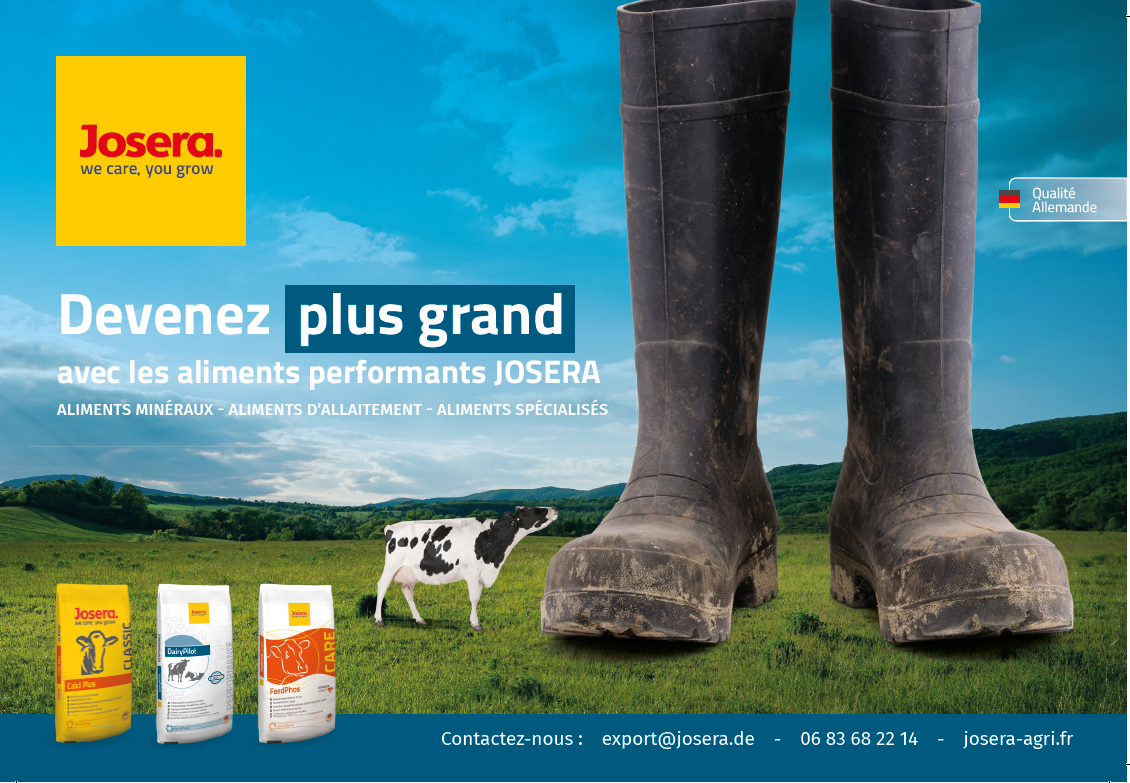 advert with cow and tall boots
