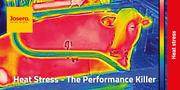 HeatStress VS 600px