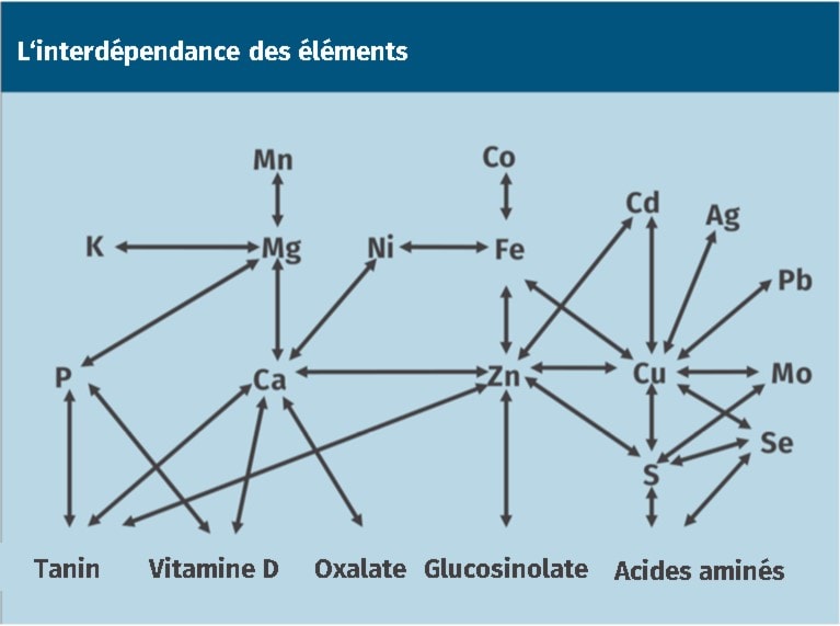 JOSERA - graphike, interdependance des élements