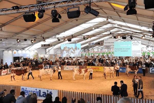 Ring Vaches Laitieres Sommet De Lelevage 2016 065 600px