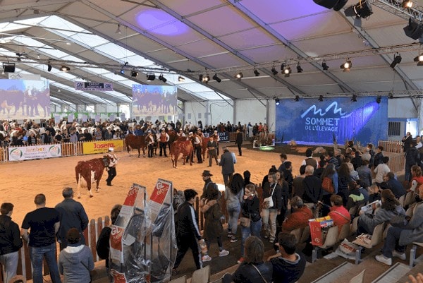 Ring Vaches Laitieres Sommet De Lelevage 2016 183 600px